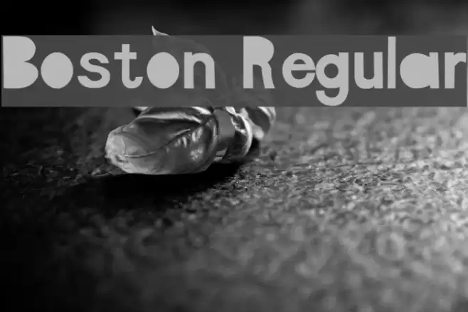 Boston Regular Font examples