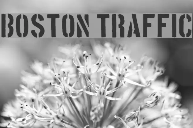 Boston Traffic Font examples