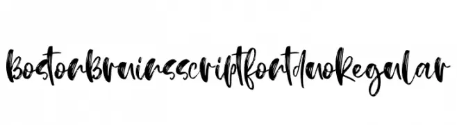 BostonBruins script font duo Regular  Descarca Fonturi Gratis