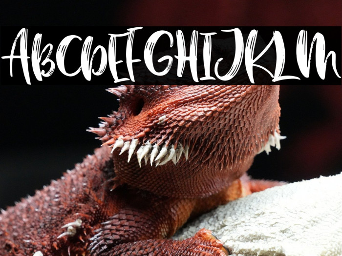 BostonBruins script font duo Regular Example 2