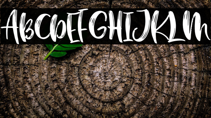 BostonBruins script font duo Regular Example 3