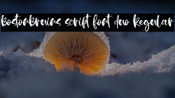 BostonBruins script font duo Regular Example 1