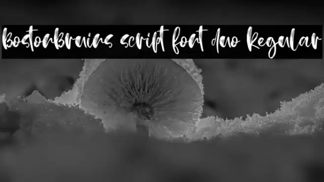 BostonBruins script font duo Regular Font examples