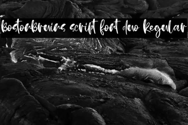 BostonBruins script font duo Regular Font examples
