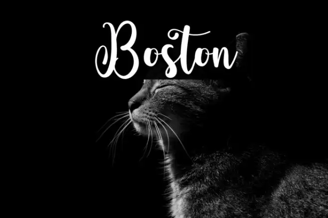 Boston Example 2