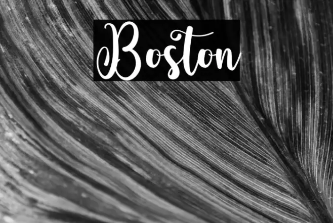 Boston Example 3