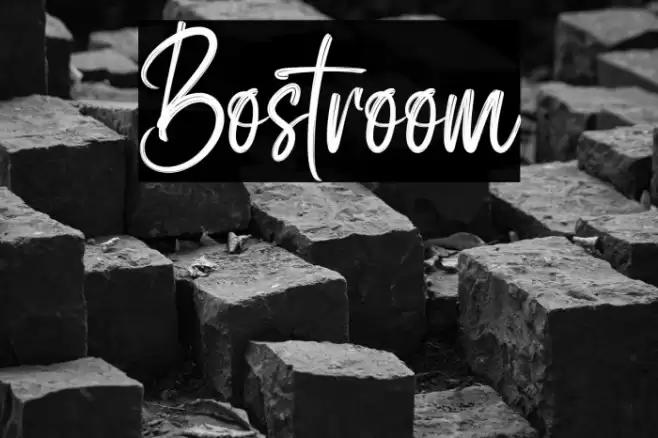 Bostroom Font examples