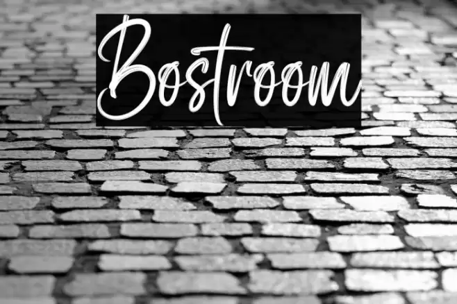 Bostroom Font examples