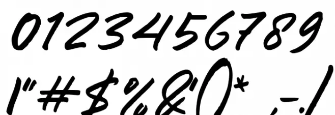 Bostwy Font OTHER CHARS