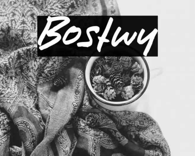 Bostwy Font examples