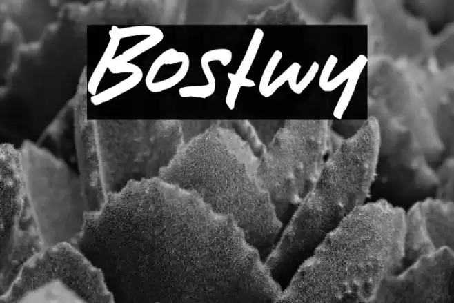 Bostwy Font examples