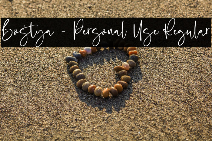 Bostya - Personal Use Regular Example 1
