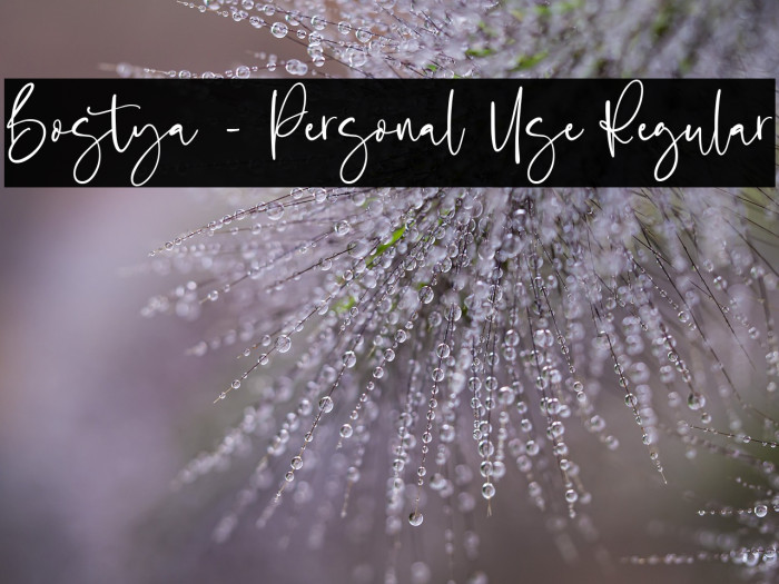 Bostya - Personal Use Regular Example 2