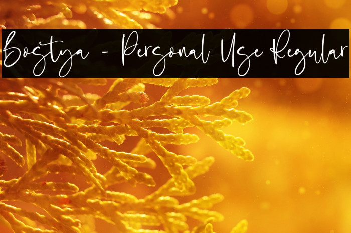 Bostya - Personal Use Regular Example 3