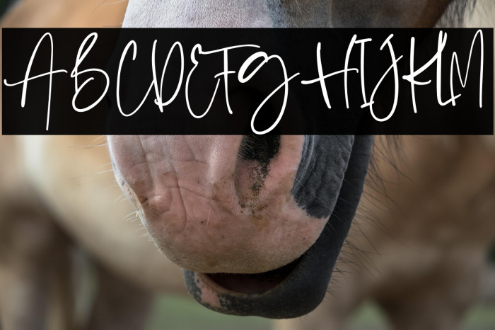 BostyaPersonalUse-Regular Example 2