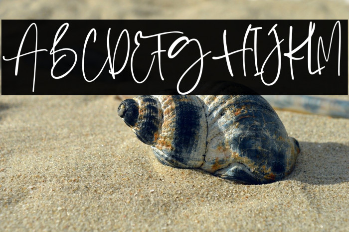 BostyaPersonalUse-Regular Example 3