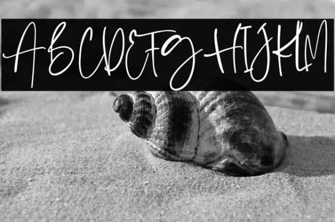 BostyaPersonalUse-Regular Example 3
