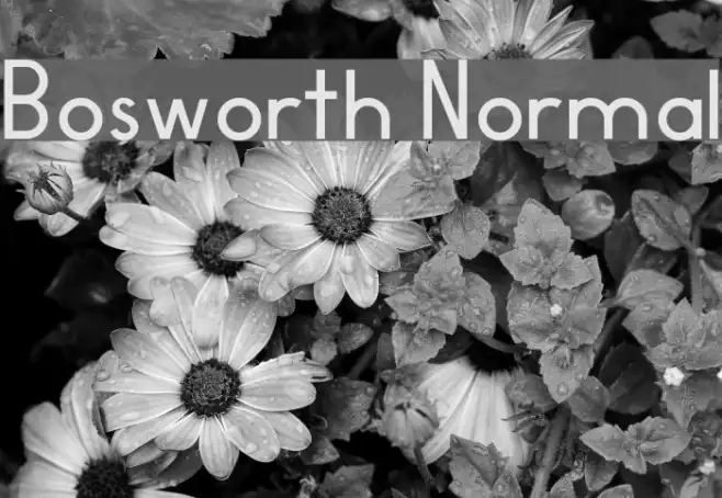 Bosworth Normal Example 2