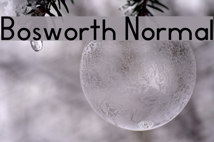 Bosworth Normal Font examples