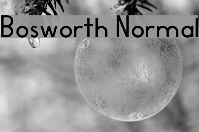 Bosworth Normal Example 3