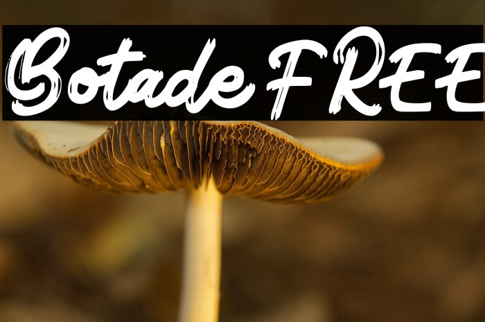 Botade FREE Example 3