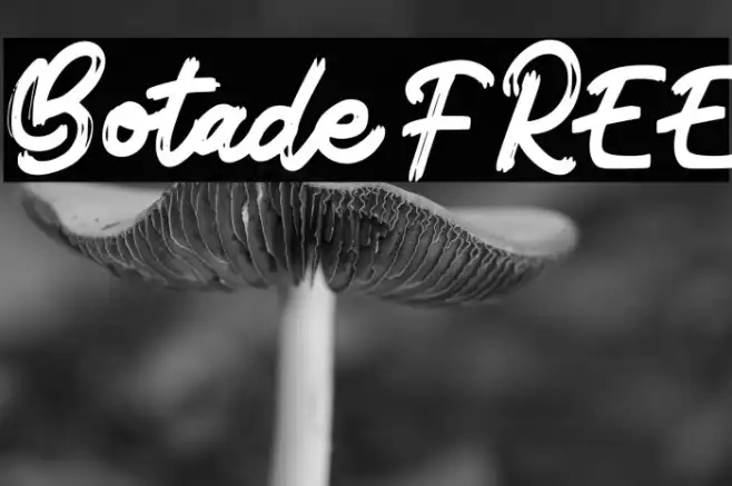 Botade FREE Example 3