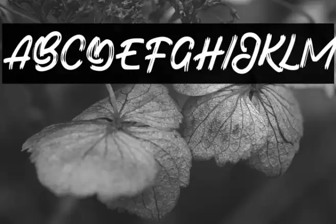 BotadeFREE Font examples