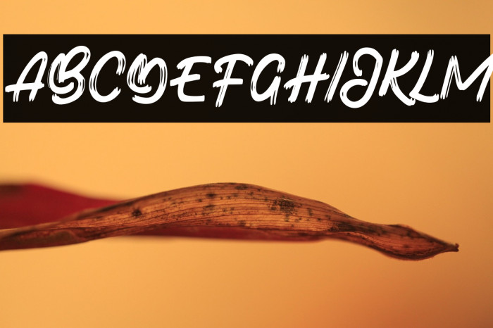 BotadeFREE Example 3