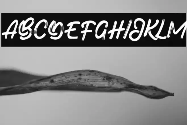 BotadeFREE Font examples