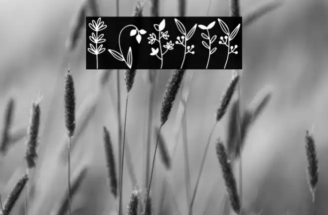 Botana Font examples