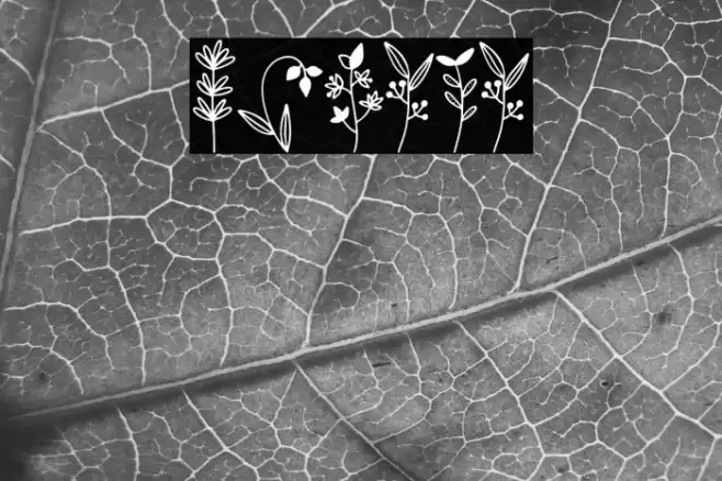 Botana Font examples