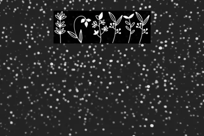 Botana Font examples