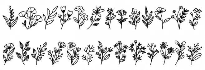 Botani Fuentes MAYÚSCULAS