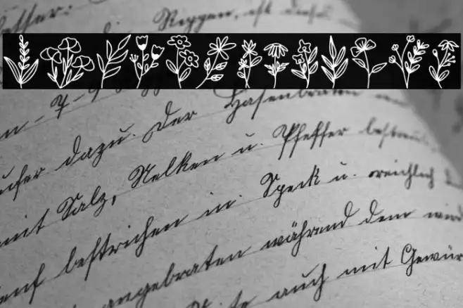 Botani Example 3