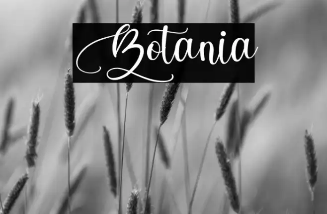 Botania Example 1