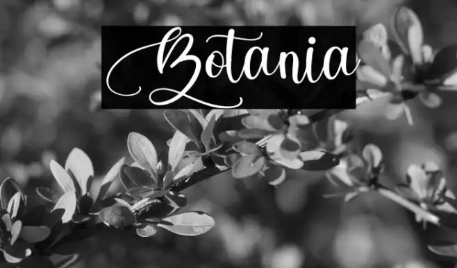 Botania Example 3