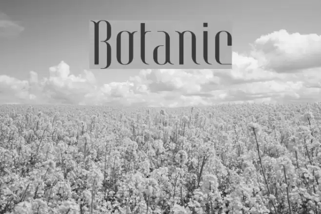 Botanic Font examples