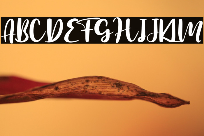 Botanical Flourish - Personal U Example 3