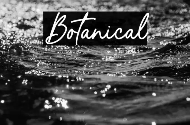 Botanical Font examples