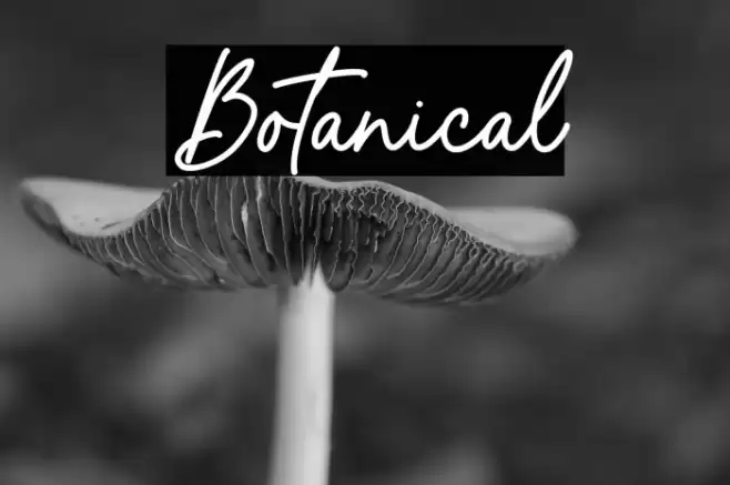 Botanical Font examples