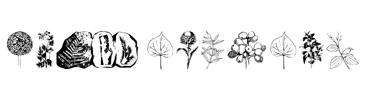 Botanicals  Frei Schriftart Herunterladen