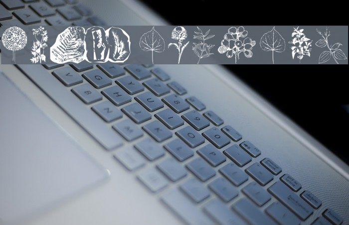 Botanicals Example 2