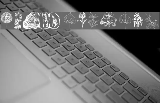 Botanicals Font examples