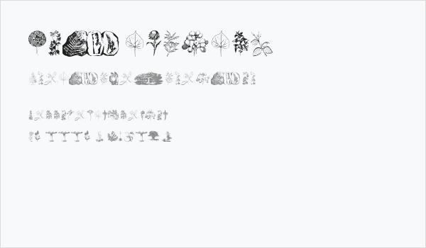 Botanicals Business Card