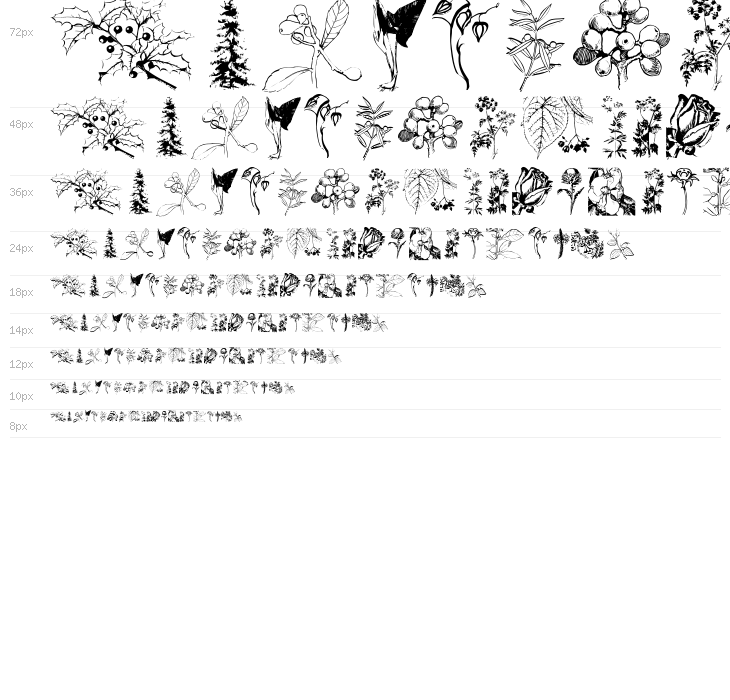 Botanicals Waterfall