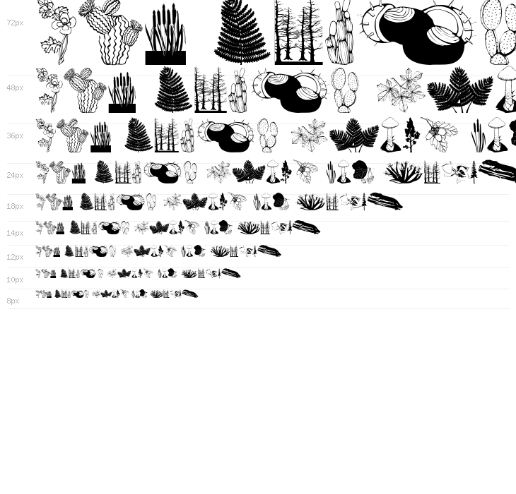 BotanishAndRelatives Waterfall