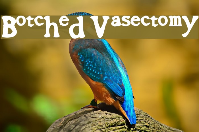 Botched Vasectomy フォント examples