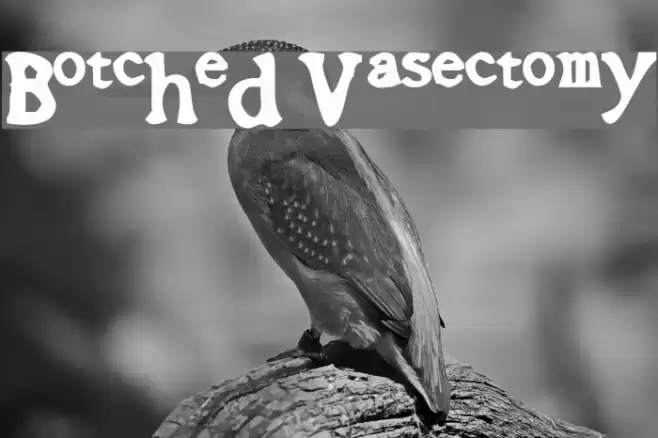 Botched Vasectomy Font examples