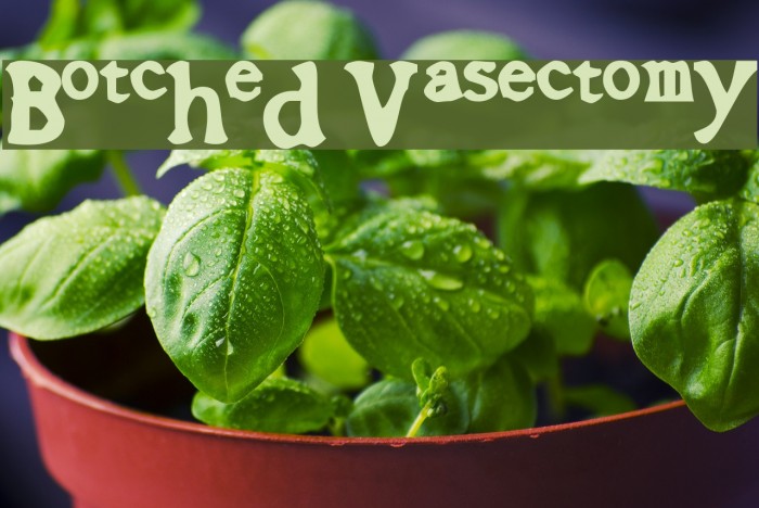 Botched Vasectomy フォント examples