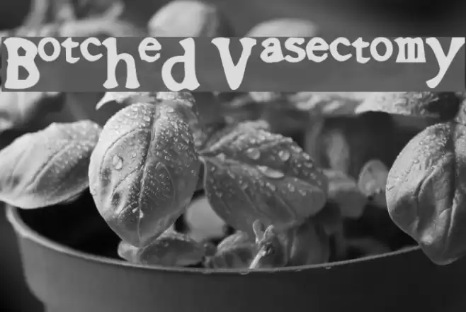 Botched Vasectomy Font examples